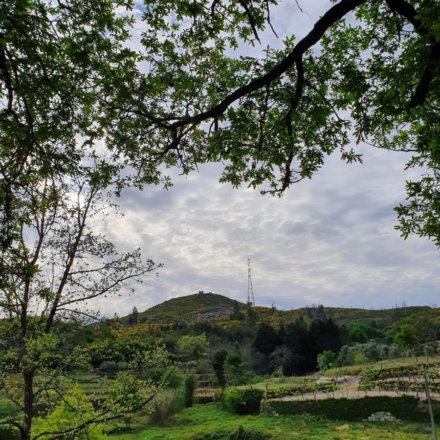 Вилла Quinta De Cerdeiro Moes Экстерьер фото