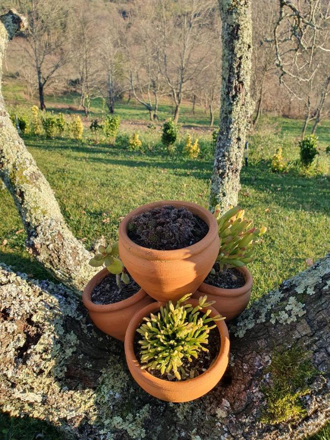 Вилла Quinta De Cerdeiro Moes Экстерьер фото